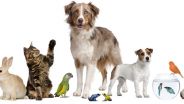 Pet shop online